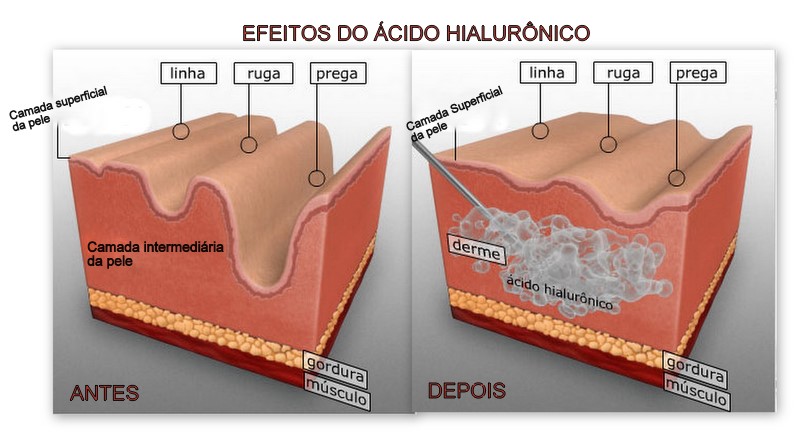 Nata do número de membro